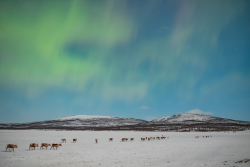 Auroras over Kilpisjärvi, Finland, on 9/10 February 2025