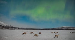 Auroras over Kilpisjärvi, Finland, on 9/10 February 2025