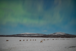Auroras over Kilpisjärvi, Finland, on 9/10 February 2025