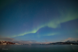 Epic Auroras over Sommarøy on 14 February 2025