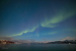 Epic Auroras over Sommarøy on 14 February 2025
