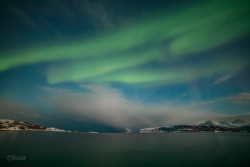 Epic Auroras over Sommarøy on 14 February 2025