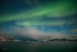 Epic Auroras over Sommarøy on 14 February 2025