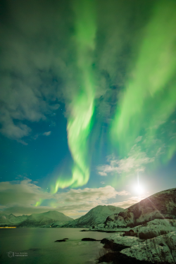 Epic Auroras over Sommarøy on 14 February 2025