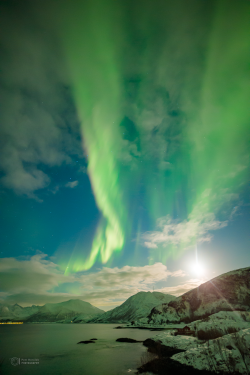 Epic Auroras over Sommarøy on 14 February 2025