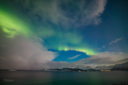 Epic Auroras over Sommarøy on 14 February 2025