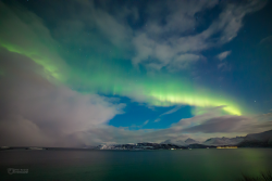 Epic Auroras over Sommarøy on 14 February 2025